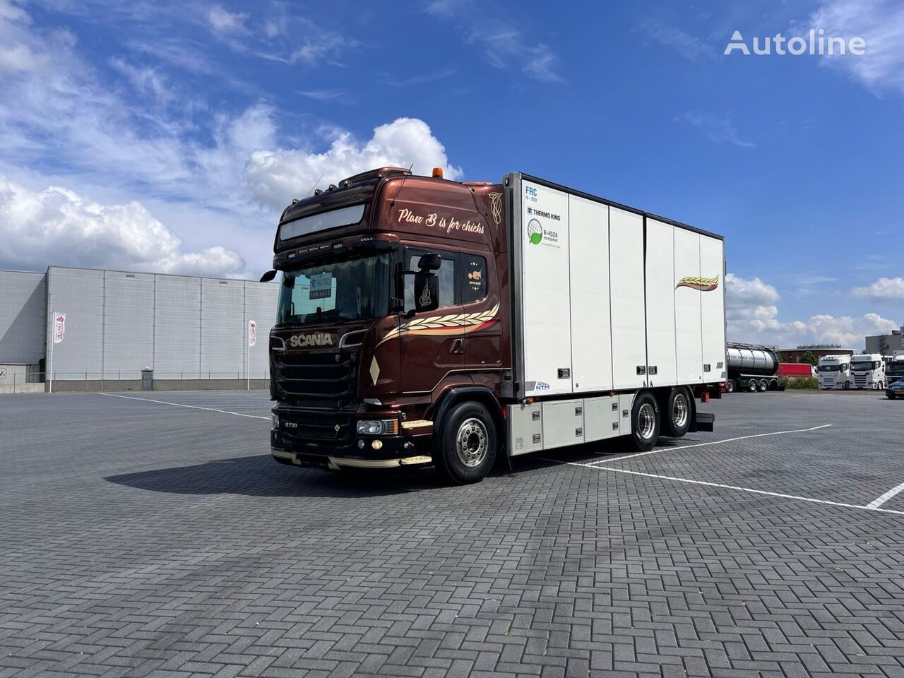 Scania R730 6X2 full air, retarder, Thermo king, NTM, Frigo,Side doors kølevogn lastbil