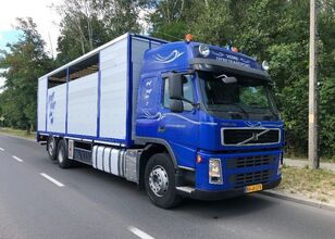 Volvo FM 440 DO BYDLA -ZYWCA kreaturvogn