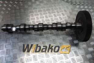 DEUTZ-FAHR BF4M1013 (04202614) knastaksel